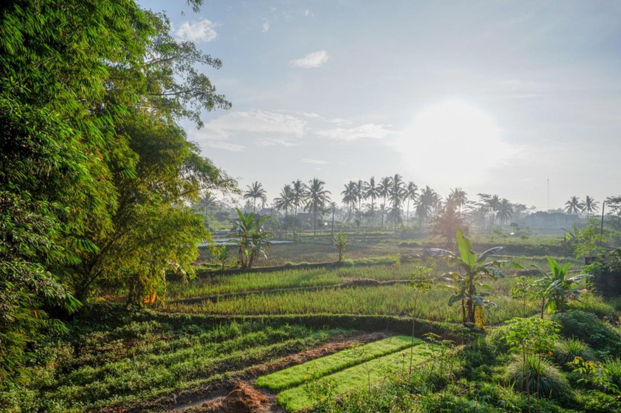 Reddoorz Syariah At Omah Sawah Balong (Yogyakarta) Exterior foto